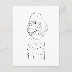 Carte Postale Illustration de Chien Caniche Standard - Art à l'E