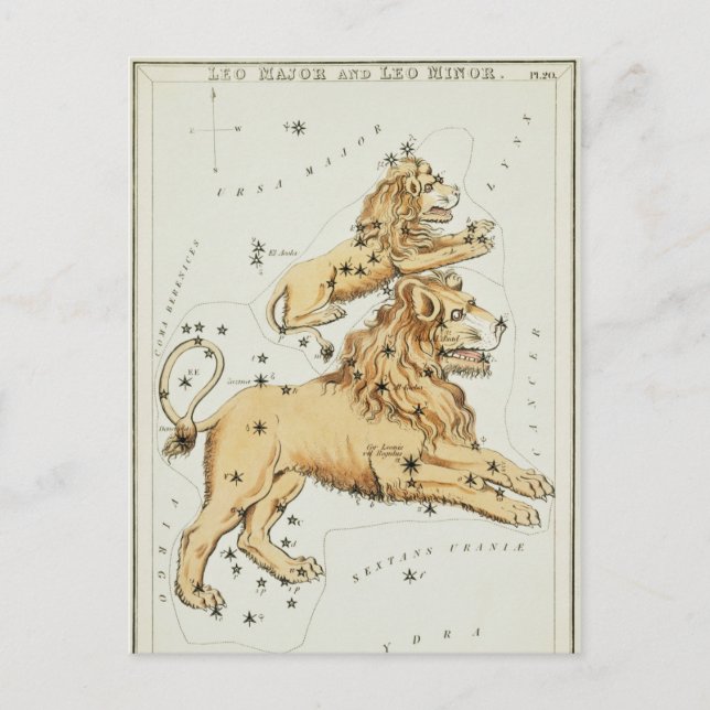 Carte Postale Illustration de constellation vintage (Devant)