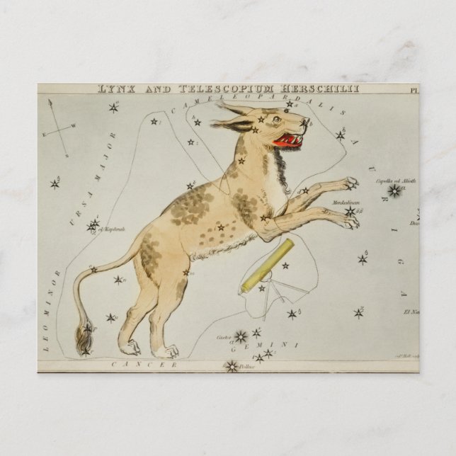Carte Postale Illustration de constellation vintage (Devant)