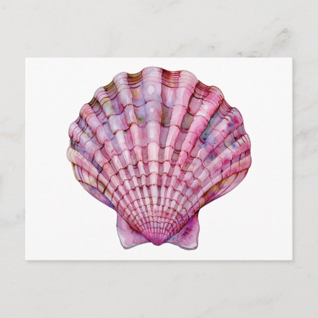 Carte Postale Illustration de coquillage rose d'aquarelle vive (Devant)