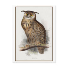 Illustration de Eagle Owl par Edward Lear