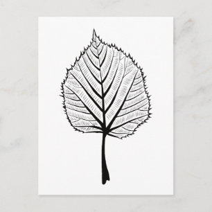 Carte Postale Illustration de feuille de tilleul - coloriage bot