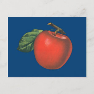Carte Postale Illustration de fruits vintages Apple