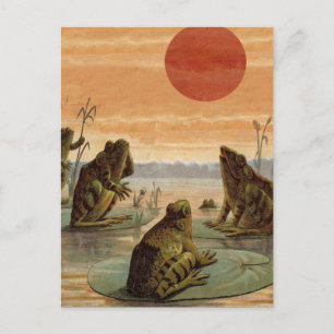Carte Postale Illustration de grenouilles Lily Pads Moon