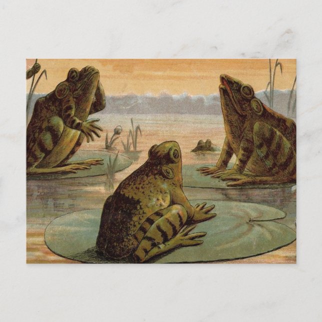 Carte Postale Illustration de grenouilles Lily Pads Moon (Devant)