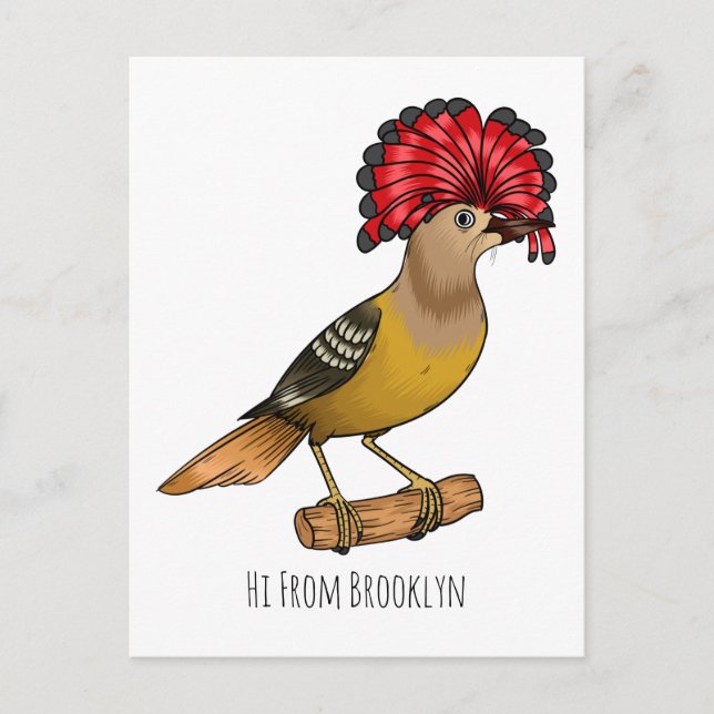 Carte Postale Illustration de la caricature royale d'oiseau (Devant)