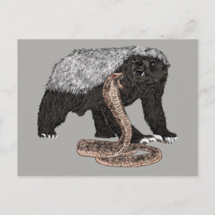 Carte Postale Illustration de la lutte entre le blaireau miel et