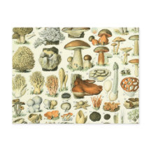 Illustration de la science des champignons - Vinta