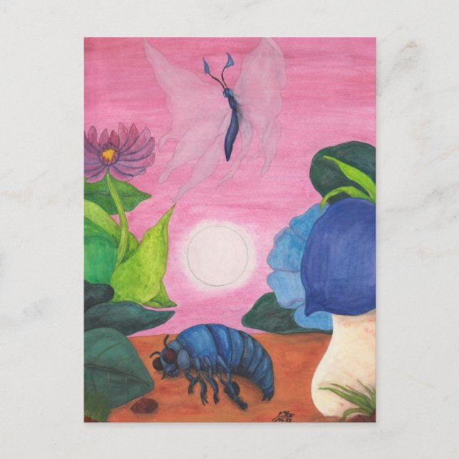 Carte Postale Illustration de la transformation des papillons d' (Devant)