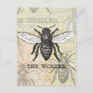 Carte Postale Illustration de l'abeille du travailleur vintage