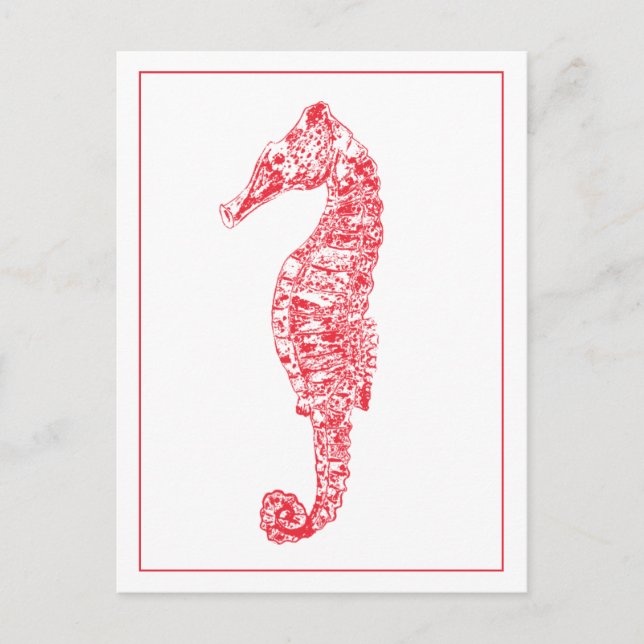 Carte Postale Illustration de l'animal de mer rouge vie marine m (Devant)