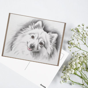 Carte Postale Illustration de l'esquisse de la race de chien Spi