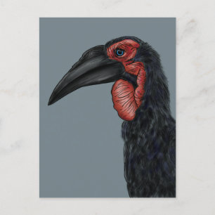 Carte Postale Illustration de l'hornbill du Sud