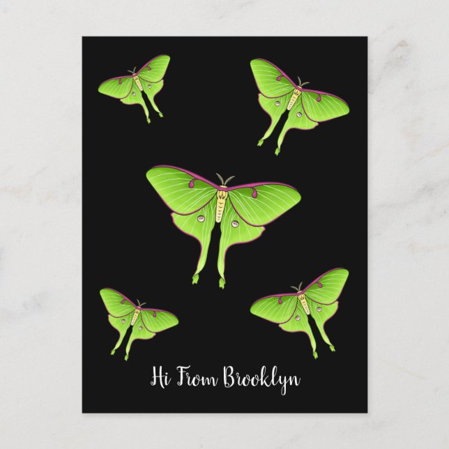 Carte Postale Illustration de Luna Moth (Devant)
