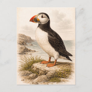 Carte Postale Illustration de macareux de style vintage