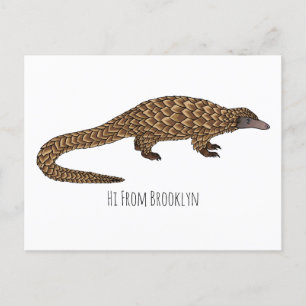 Carte Postale Illustration de pangolin à queue longue