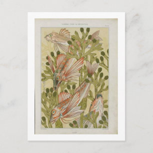 Carte Postale illustration de poisson vintage