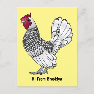 Carte Postale Illustration de poulet Sebright