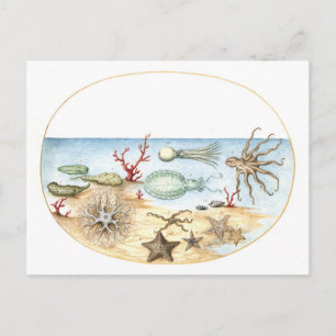 Carte Postale Illustration de Sea Creatures