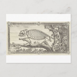 Carte Postale Illustration de squelette de caméléon