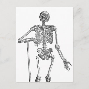Carte Postale Illustration de squelette en train de creuser