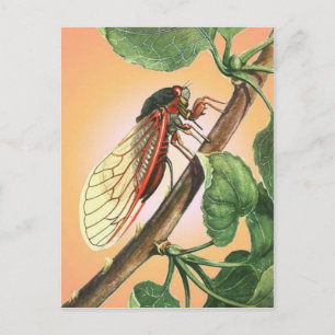 Carte Postale Illustration des insectes du Canada
