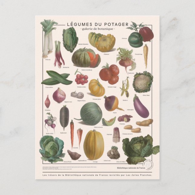 Carte Postale Illustration des légumes (Devant)