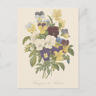 Carte Postale Illustration des panneaux de bouquet de pansement