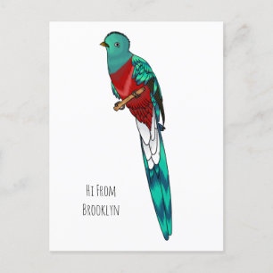Carte Postale Illustration d'oiseau de quetzal resplendissant