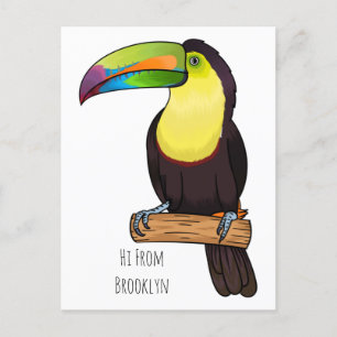 Carte Postale Illustration d'oiseau toucain à bec de Keel