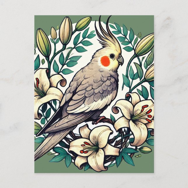 Carte Postale Illustration d'oiseaux de Cockatiel (Devant)