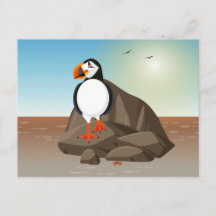 Illustration d'oiseaux - Le Puffin, un oiseau de m