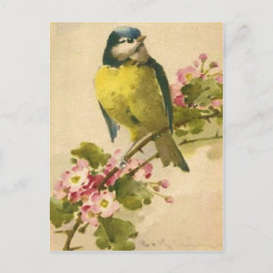 Carte Postale Illustration d'oiseaux victoriens