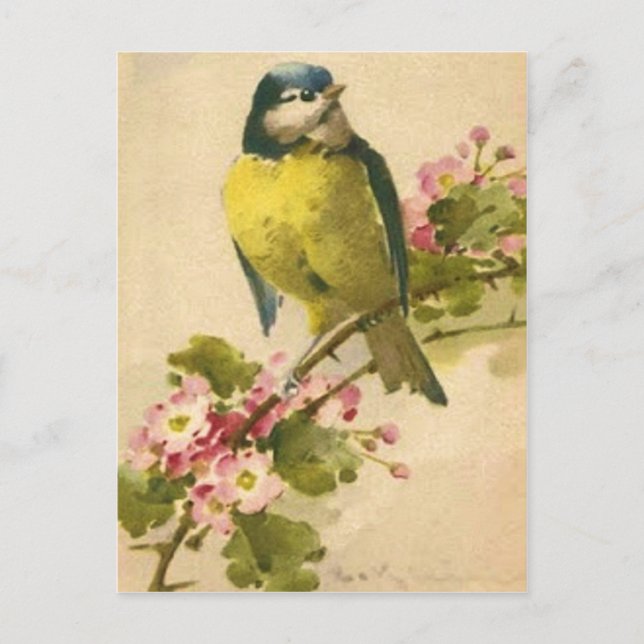 Carte Postale Illustration d'oiseaux victoriens (Devant)