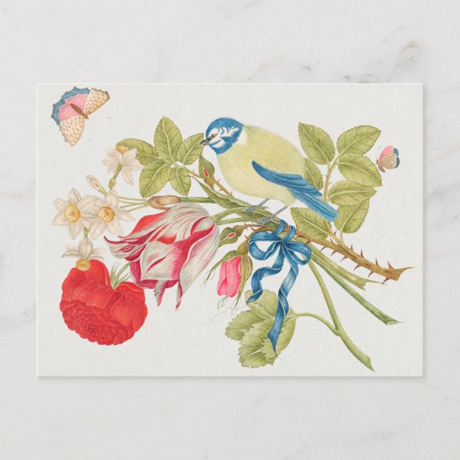 Carte Postale Illustration d'oiseaux vintages (Devant)