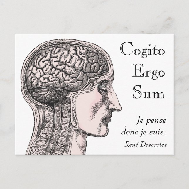 Carte Postale Illustration du cerveau humain Cogito Ergo Somme (Devant)