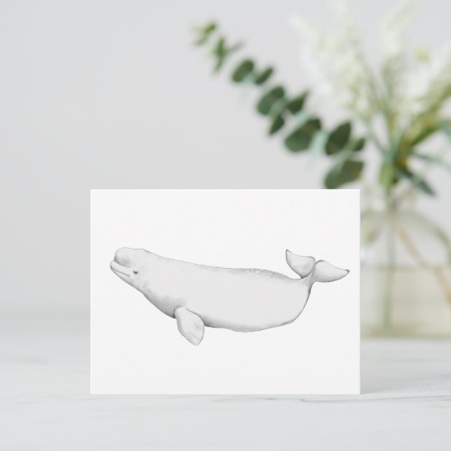 Carte Postale Illustration du livre de baleines Beluga élégant (Debout devant)