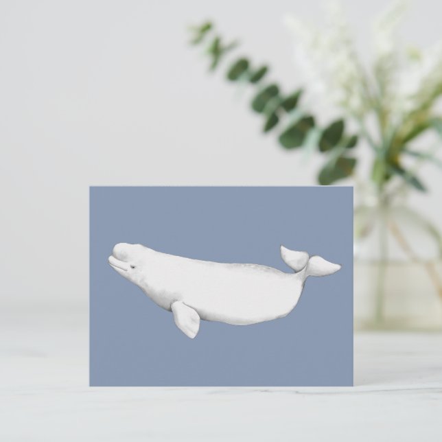 Carte Postale Illustration du livre de baleines Beluga élégant (Debout devant)
