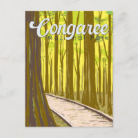 Illustration du parc national du Congaree Voyage V