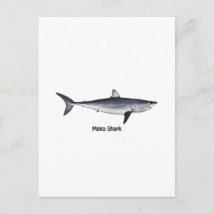 Carte Postale Illustration du requin Mako Shortfin
