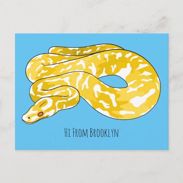 Carte Postale Illustration du serpent python birman (Devant)