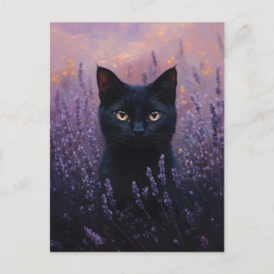 Carte Postale Illustration d'un chat noir dans un champ de lavan