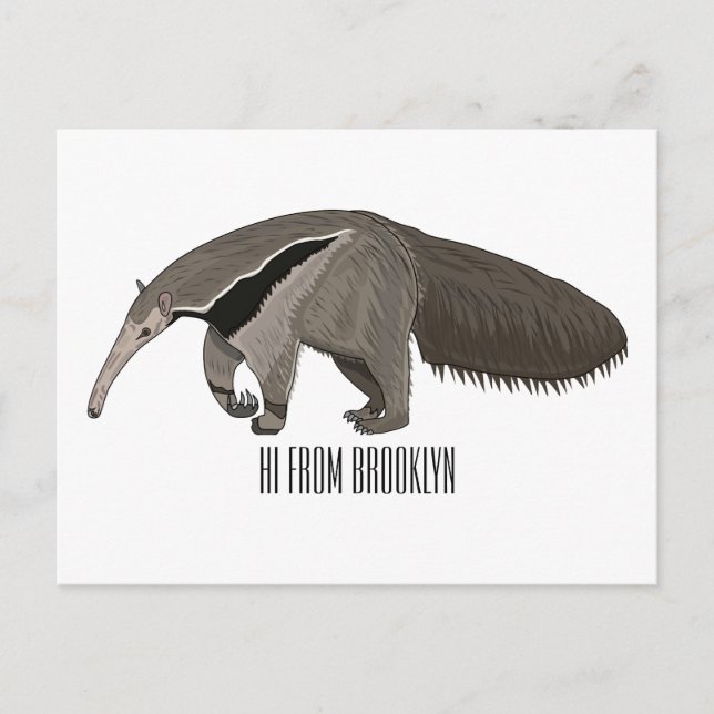 Carte Postale Illustration d'un dessin animé d'Anteater (Devant)