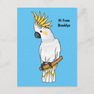 Carte Postale Illustration d'un oiseau de cokatoscope à crête de