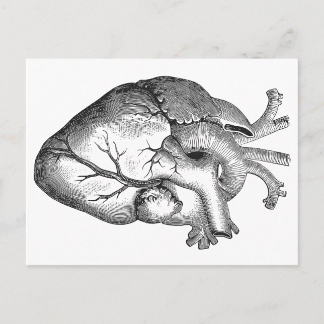 Carte Postale Illustration simple du coeur de l'anatomie noire b (Devant)