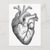Illustration simple du coeur de l'anatomie noire b