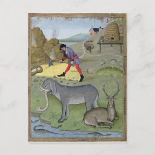 Carte Postale Illustration tirée du livre "Book of Simple"