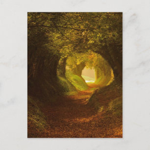 Carte postale Illustration vintage