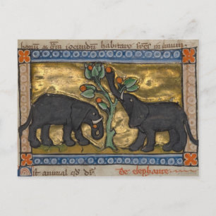 Carte postale Illustration vintage