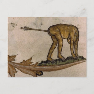 Carte postale Illustration vintage